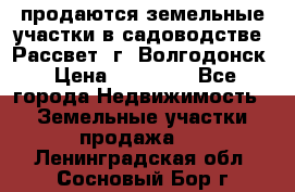 продаются земельные участки в садоводстве “Рассвет“ г. Волгодонск › Цена ­ 80 000 - Все города Недвижимость » Земельные участки продажа   . Ленинградская обл.,Сосновый Бор г.